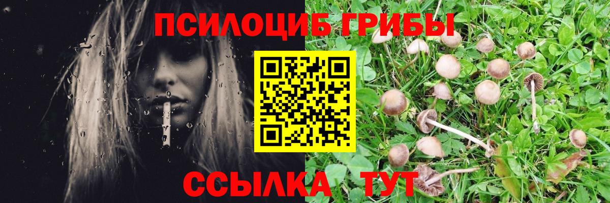 Псилоцибиновые грибы Magic Shrooms Петрозаводск