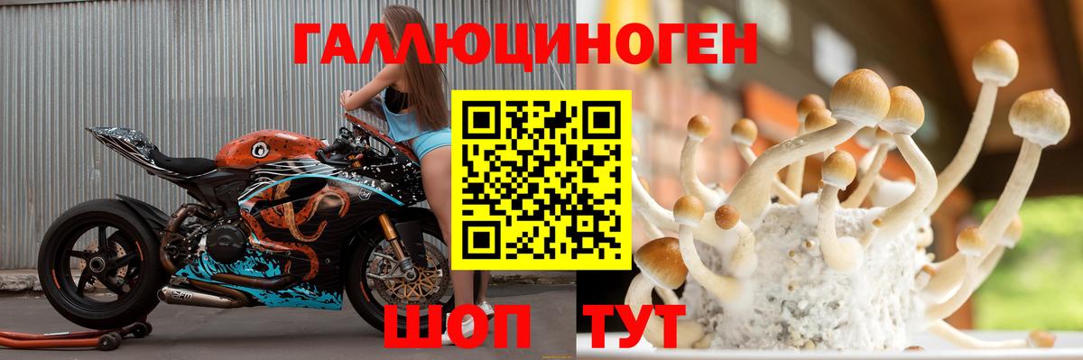 Псилоцибиновые грибы ЛСД  Псилоцибиновые грибы GOLDEN TEACHER  Вход с VPN  магазин  наркотиков  Петрозаводск 